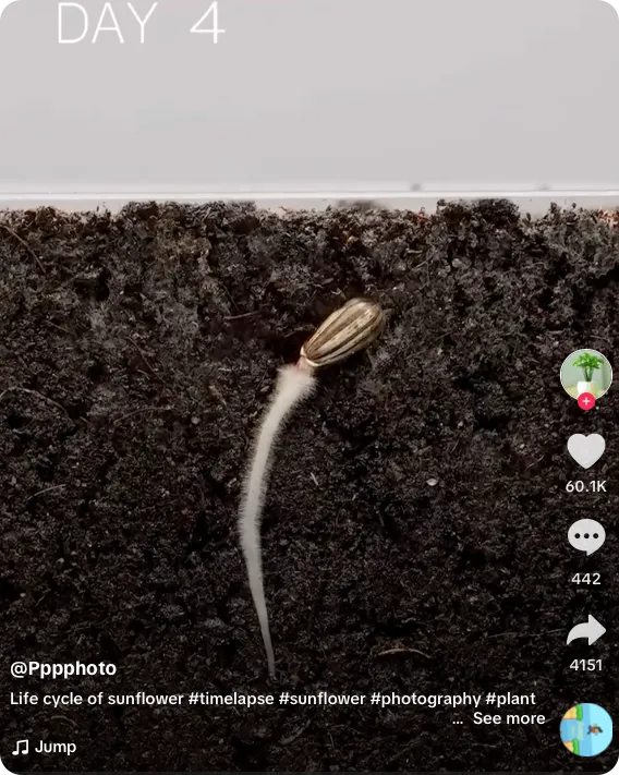 ide konten TikTok untuk introvert dengan tema time lapse