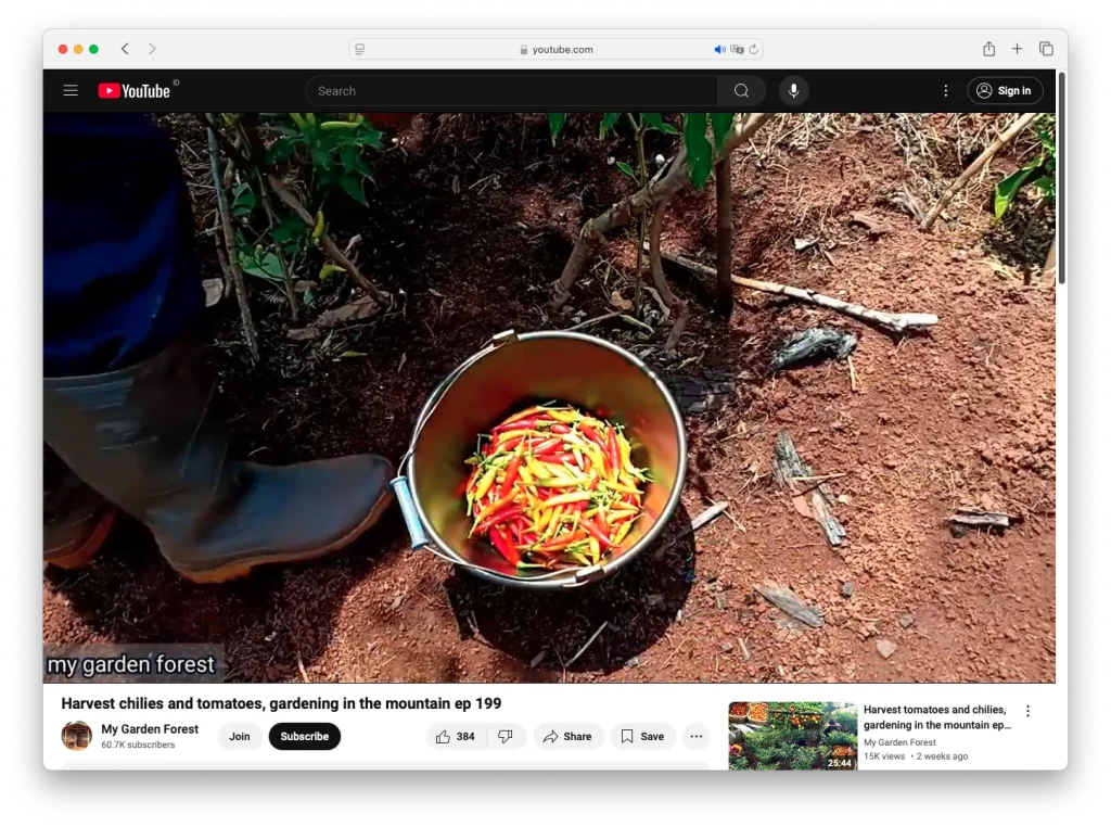 konten YouTube yang tidak menampilkan wajah salah satunya konten berkebun