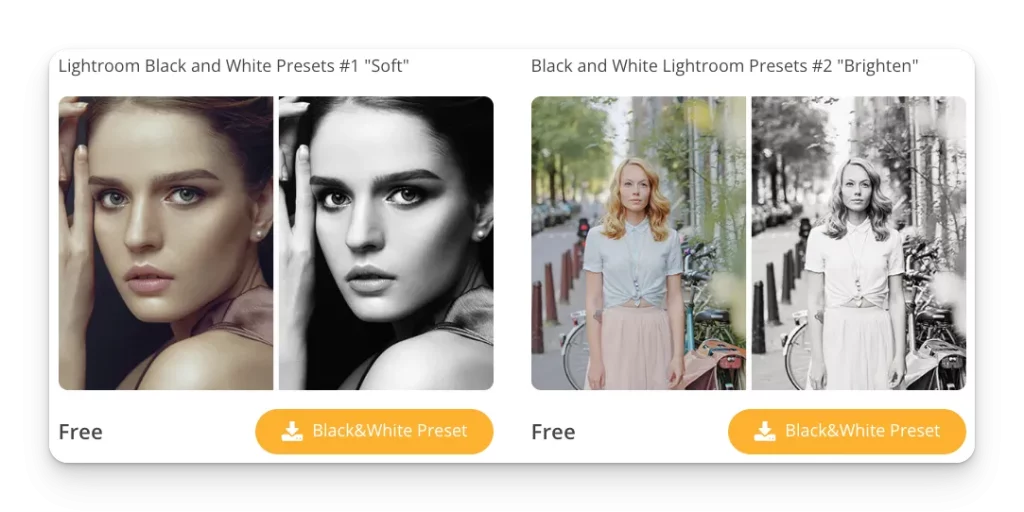 Preset adalah tool untuk membuat foto hitam putih dengan mudah